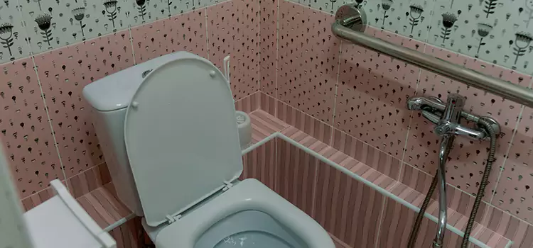 Meeting Diverse Needs With Accessible Restroom Solutions in Clovis, CA
